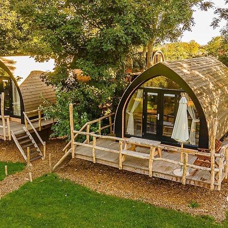 Boomhuis Met Optioneel Wellness - Vakantiepark De Schreiershoek Dokkum Esterno foto