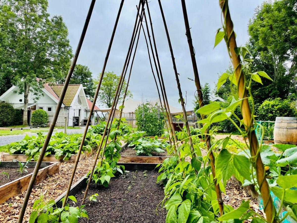 Boomhuis Met Optioneel Wellness - Vakantiepark De Schreiershoek Dokkum Esterno foto
