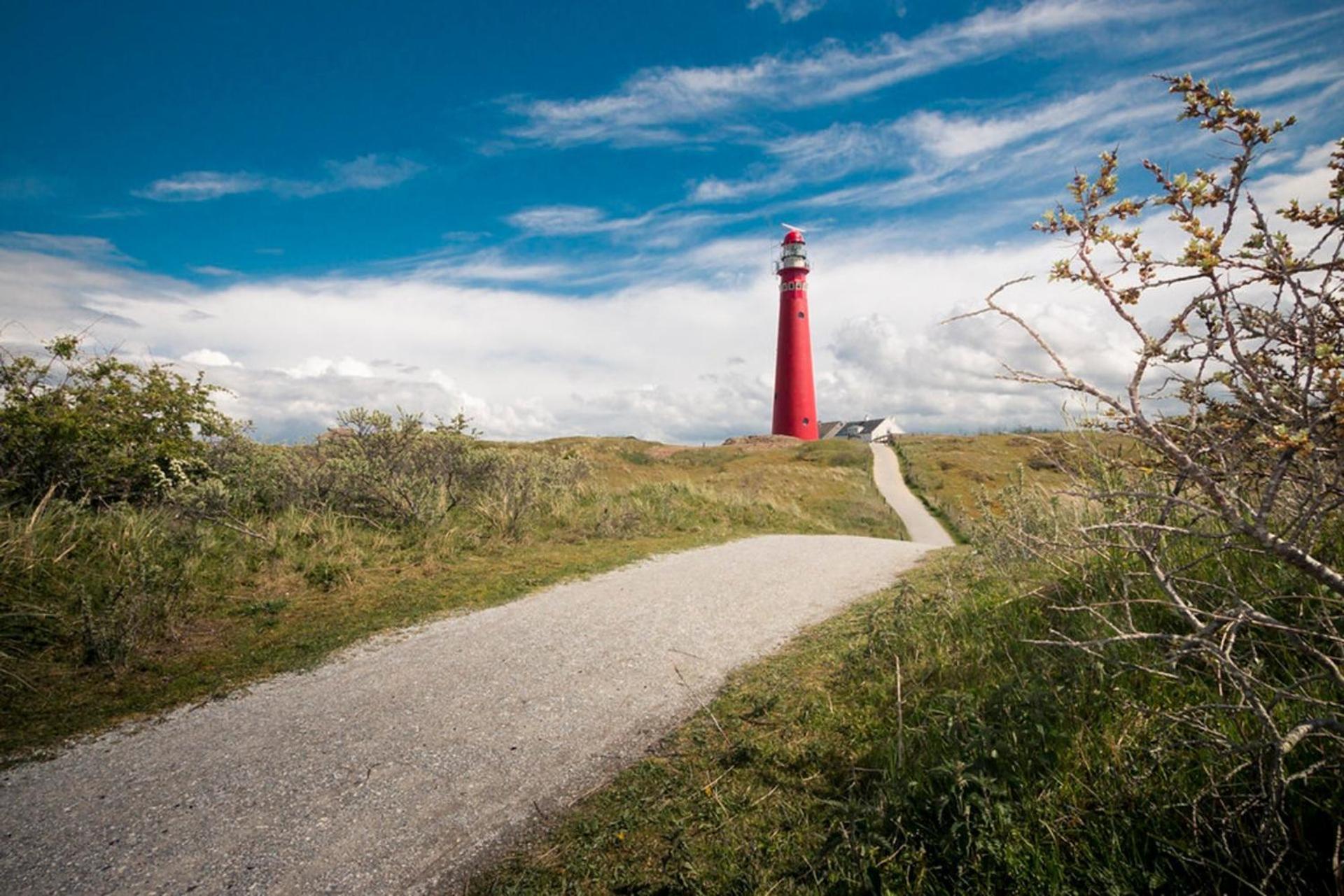 Boomhuis Met Optioneel Wellness - Vakantiepark De Schreiershoek Dokkum Esterno foto