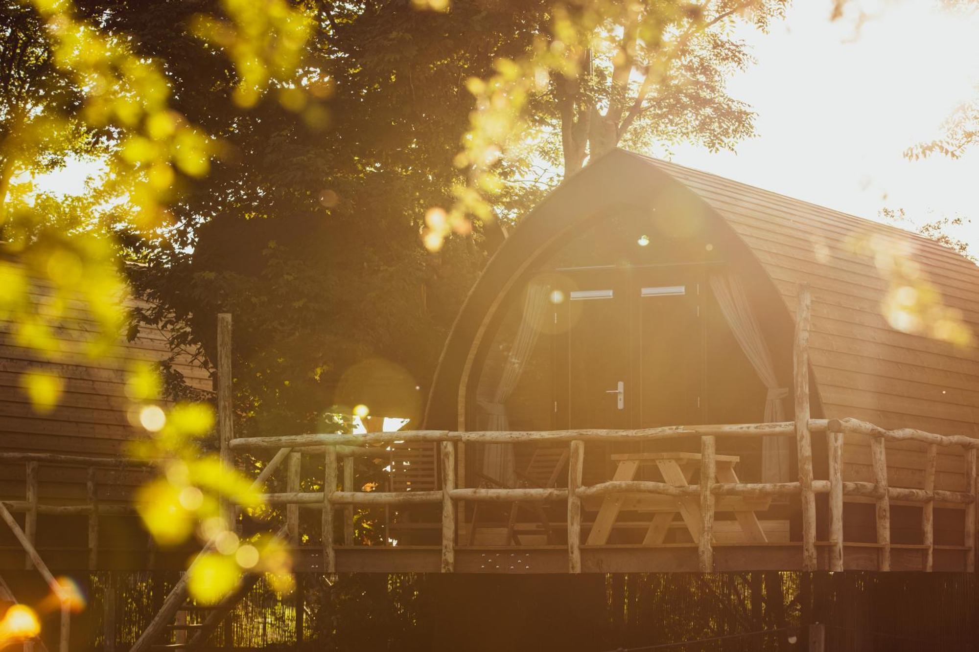 Boomhuis Met Optioneel Wellness - Vakantiepark De Schreiershoek Dokkum Esterno foto